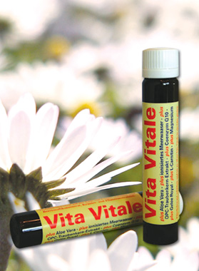 Vital Drink Ampullen - 10 Nährstoffampullen